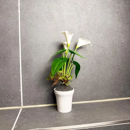 Ruhr Business Mit 8 Einzelbetten Privat Parkplatz * Essen