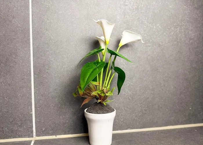 Ruhr Business Mit 8 Einzelbetten Privat Parkplatz * Essen